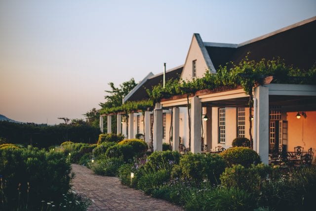 Avondale wine vineyard Afrique du sud Western Cap